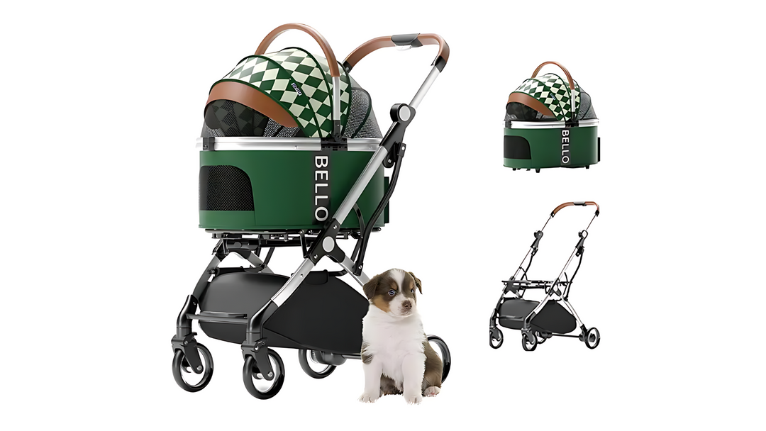 Why Your Dog Might Need a Pram: 15 Practical Reasons for a Pawsome Investment