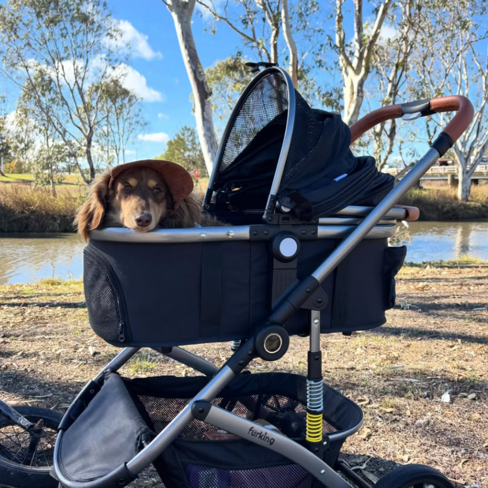 Pet Stroller Buying Guide