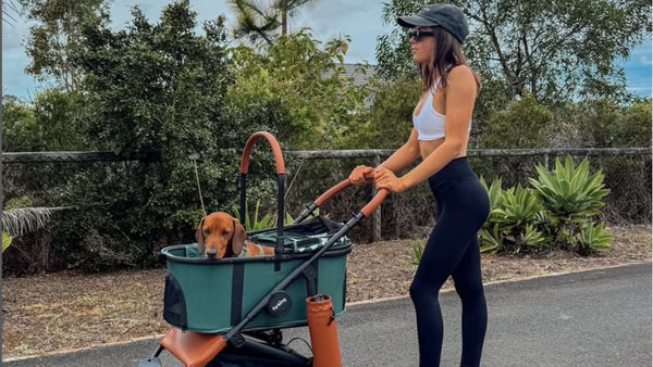 Pet Strollers & Prams | Our Fur King Brilliant Pet Stroller Collection