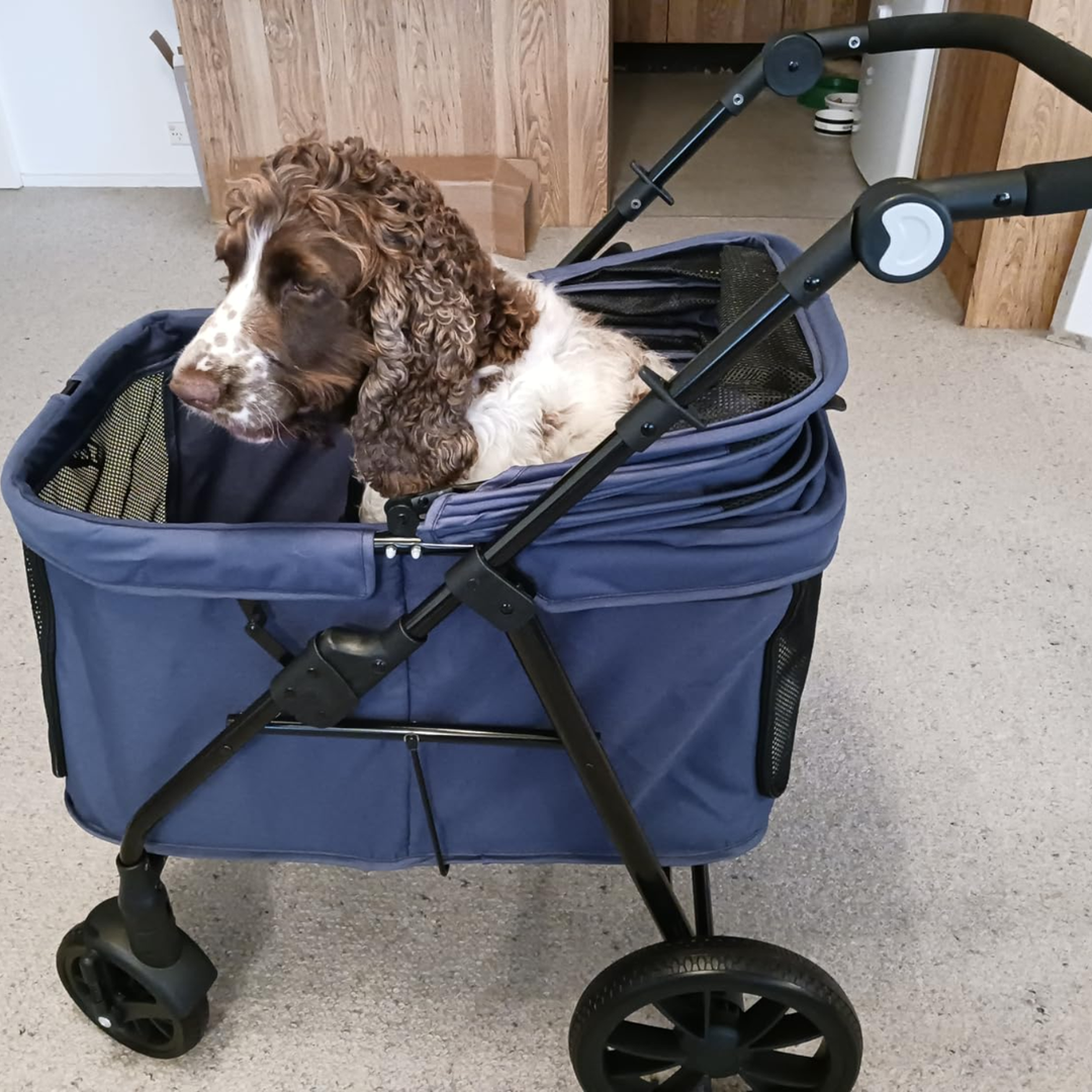 Fur King Wagon