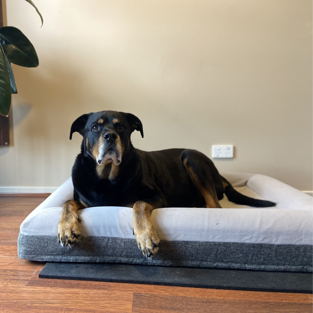 Best Orthopedic Dog Bed | Fur King "Ortho"