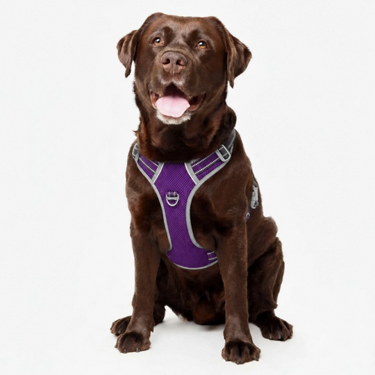 Best No Pull Dog Harness | Fur King Ultimate No Pull Harness