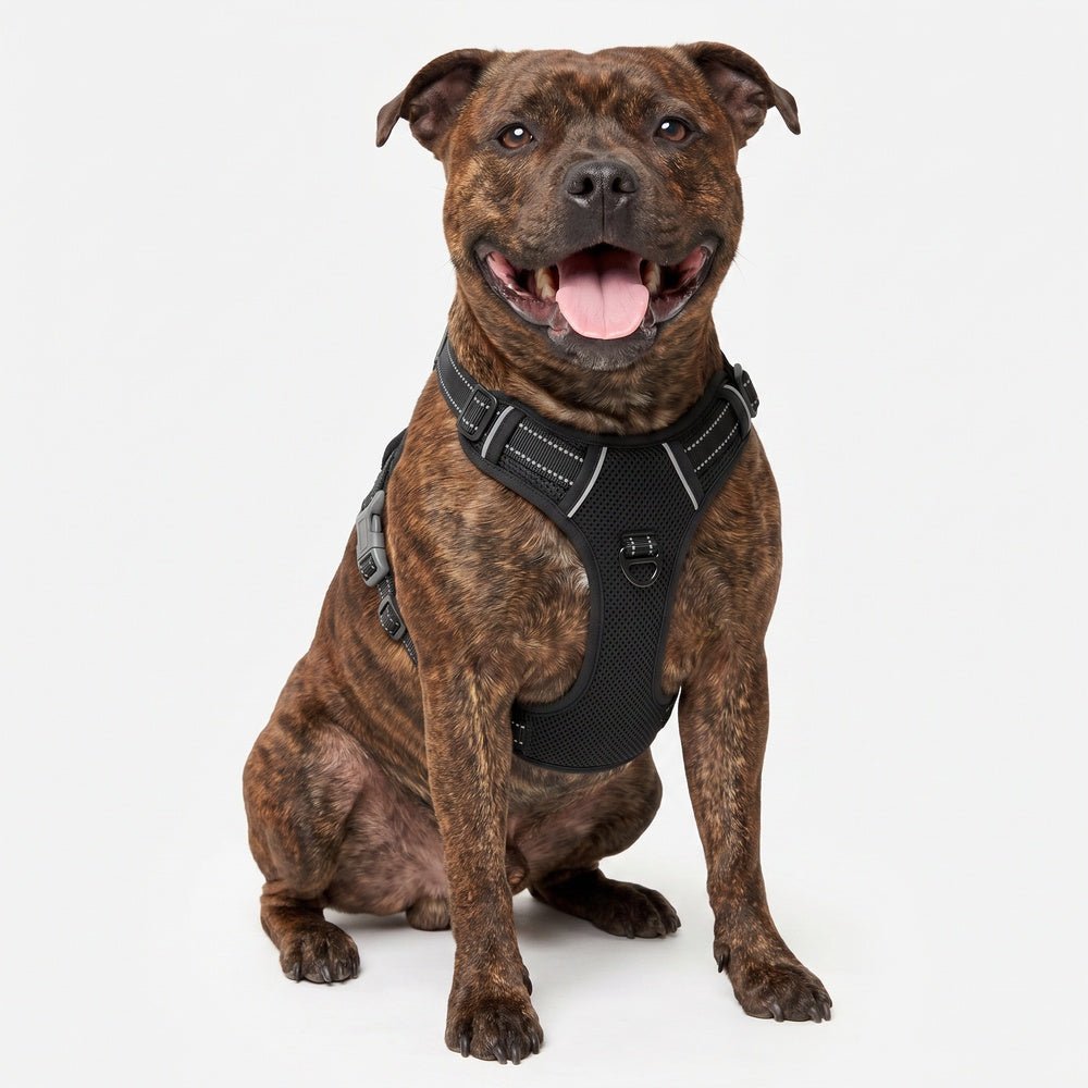 Best No Pull Dog Harness | Fur King Ultimate No Pull Harness