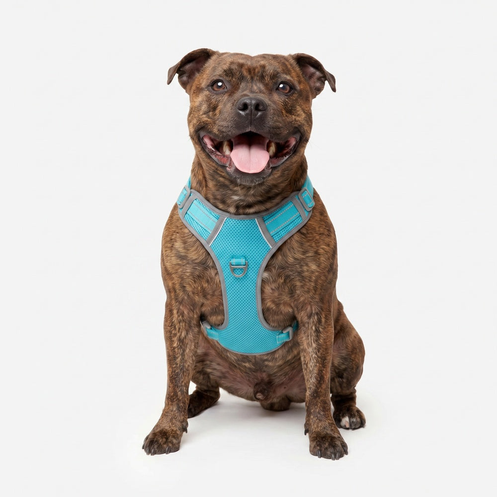 Best No Pull Dog Harness | Fur King Ultimate No Pull Harness