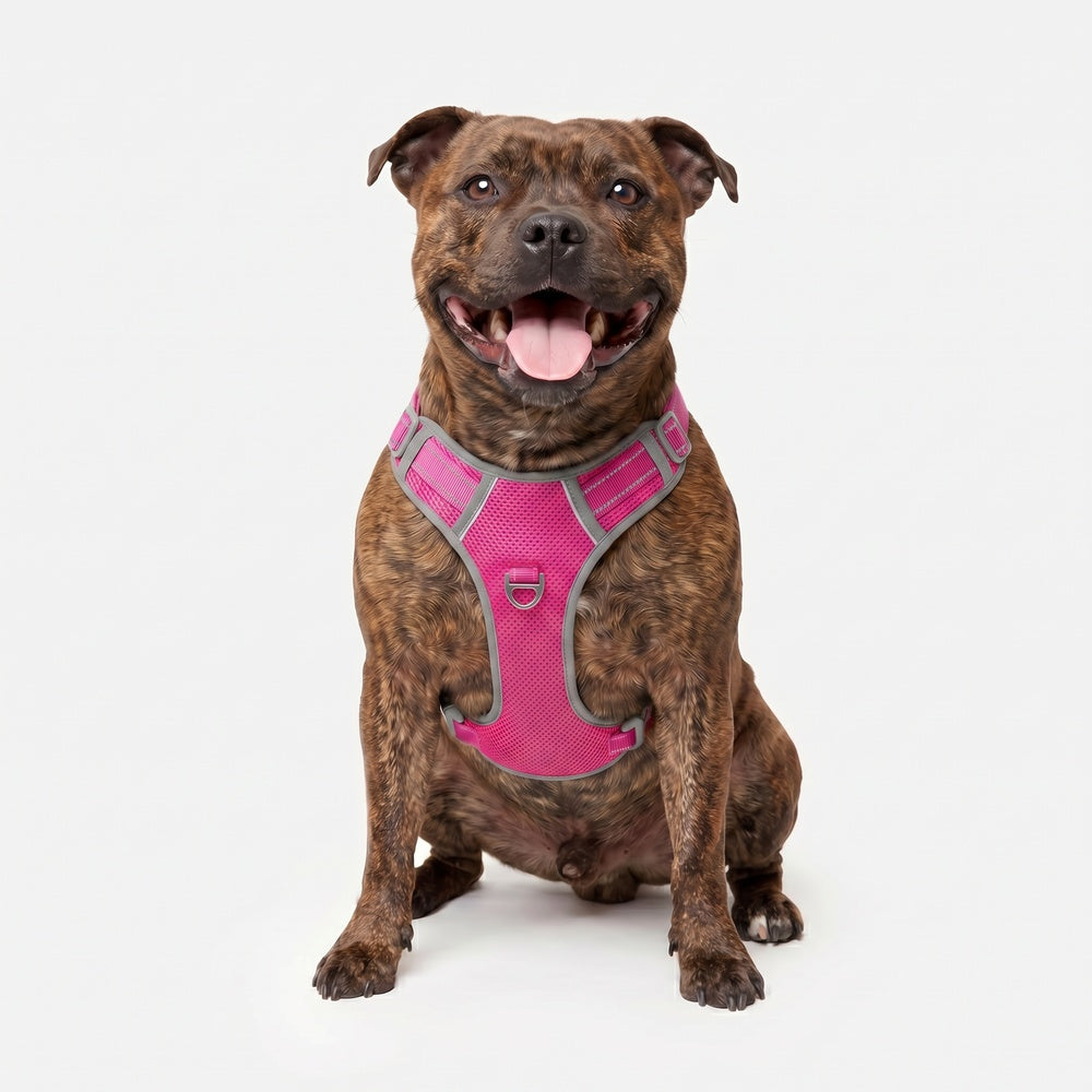 Best No Pull Dog Harness | Fur King Ultimate No Pull Harness