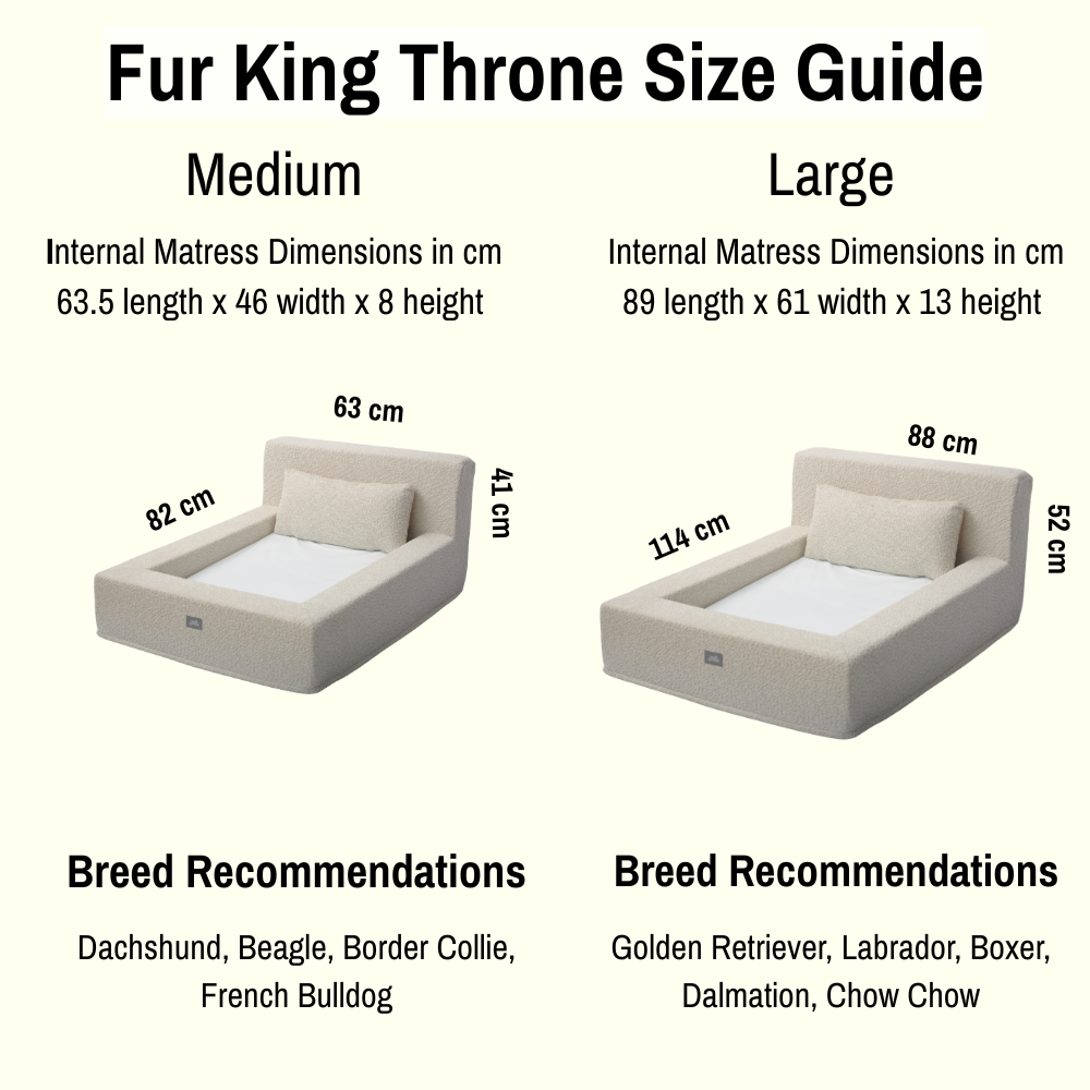 Fur King Throne - Orthopedic Dog Bed