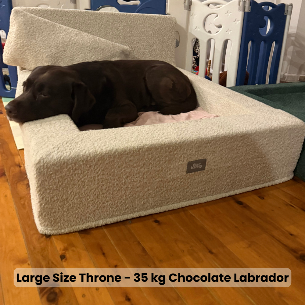 Fur King Throne - Orthopedic Dog Bed