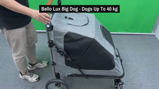 Bello Big Dog - Dogs Up To 40 kg