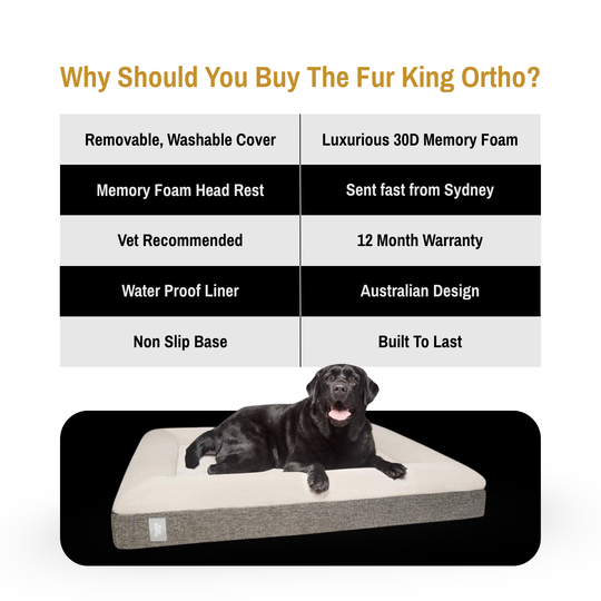 Fur King Ortho Bed Cooling Bundle
