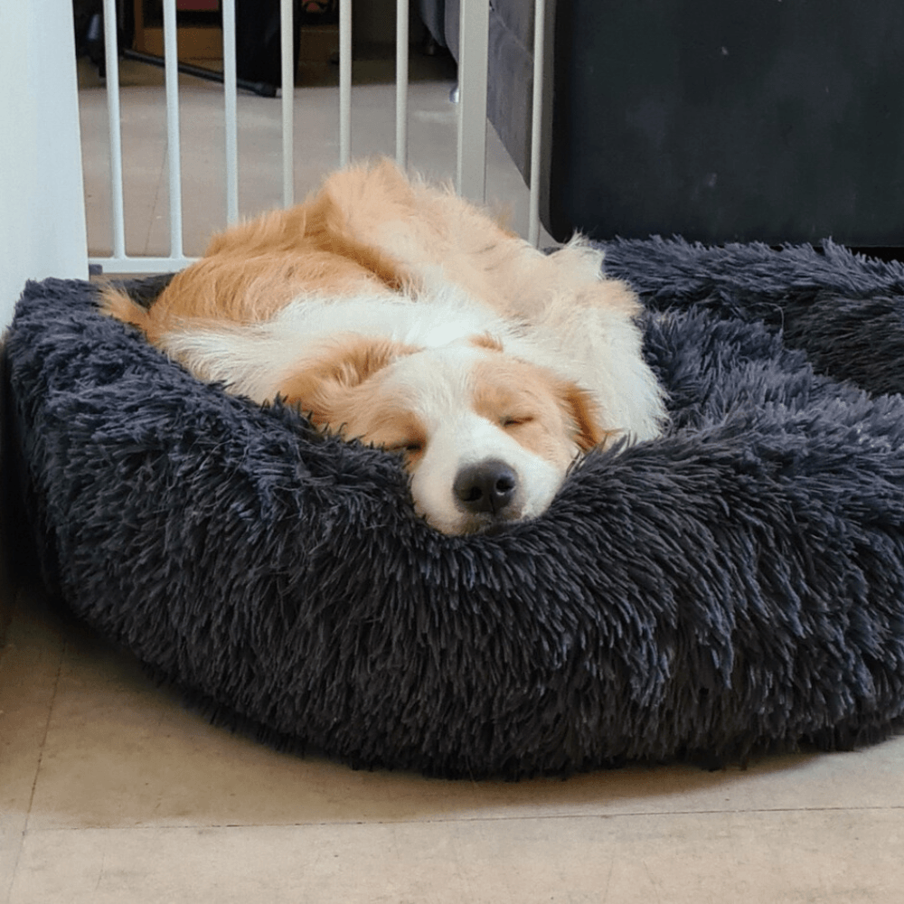 Fur King "Aussie" Calming Dog Bed - Pet Parlour Australia