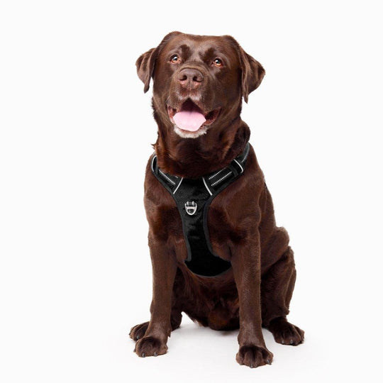 Fur King Ultimate No Pull Dog Harness - Pet Parlour Australia